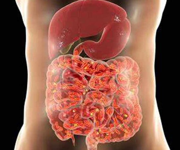 What is a healthy Gut? How it affects intestinal health