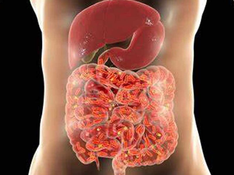 What is a healthy Gut? How it affects intestinal health