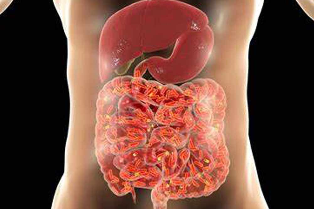 What is a healthy Gut? How it affects intestinal health